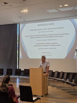 Senčenje na delovnem mestu (3)